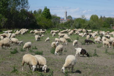 Pellegrinaggio a Castelmagno